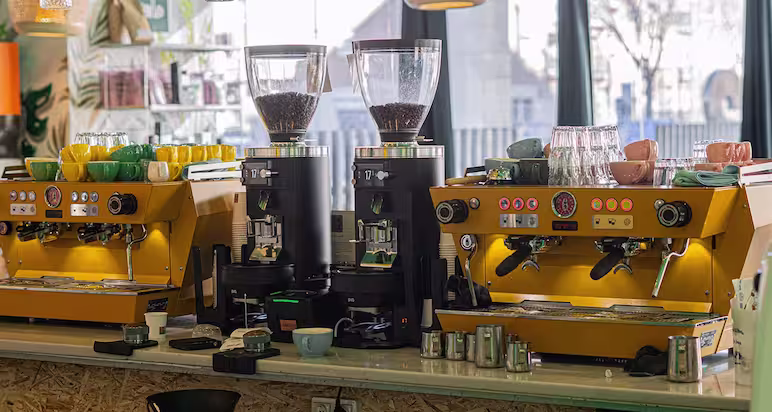 Opciones veganas y vegetarianas